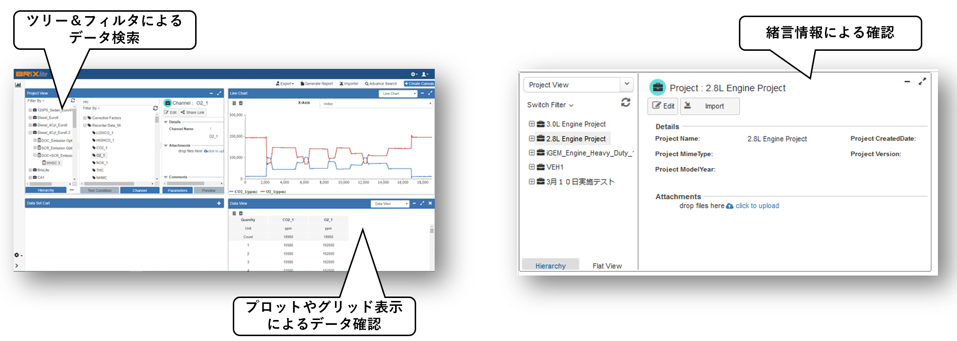 blitesearch